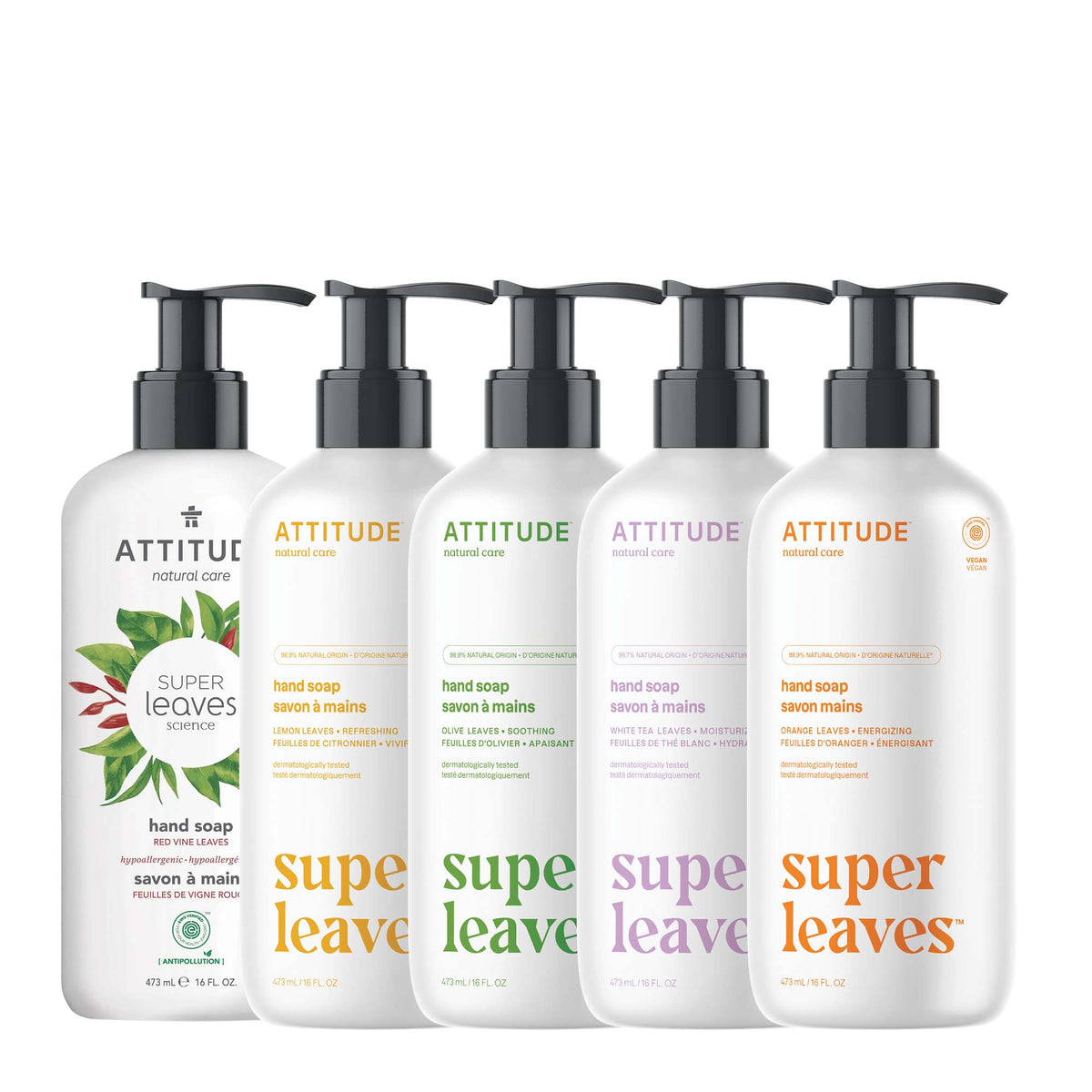 Body Lotion