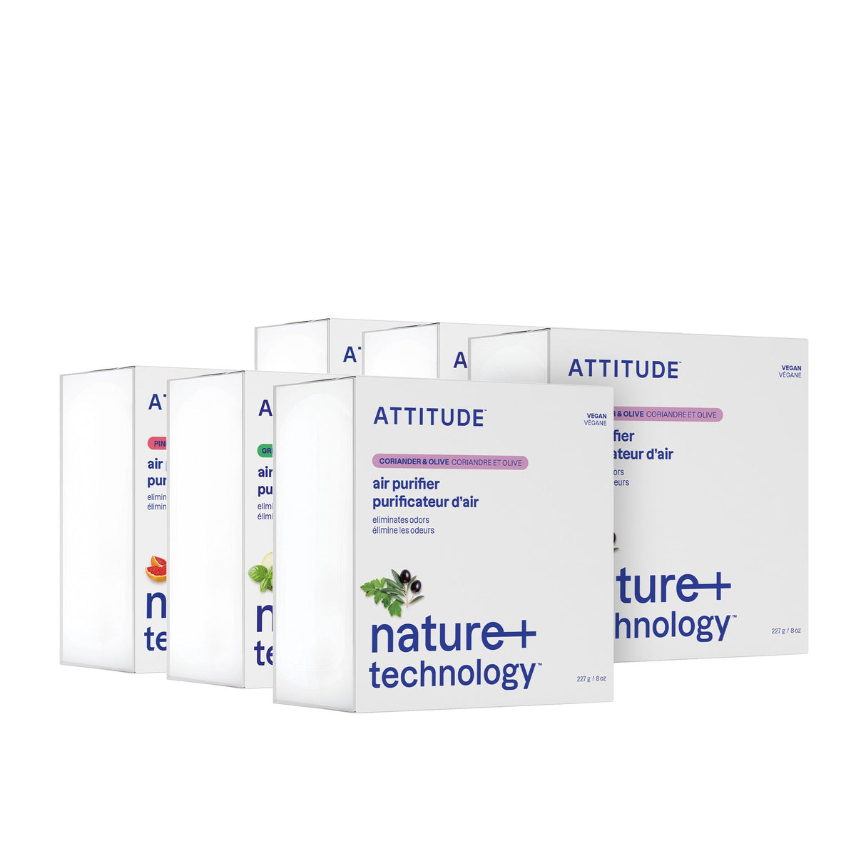 Air Purifier - Pack — Assorted Fragrances / 6 x 227g